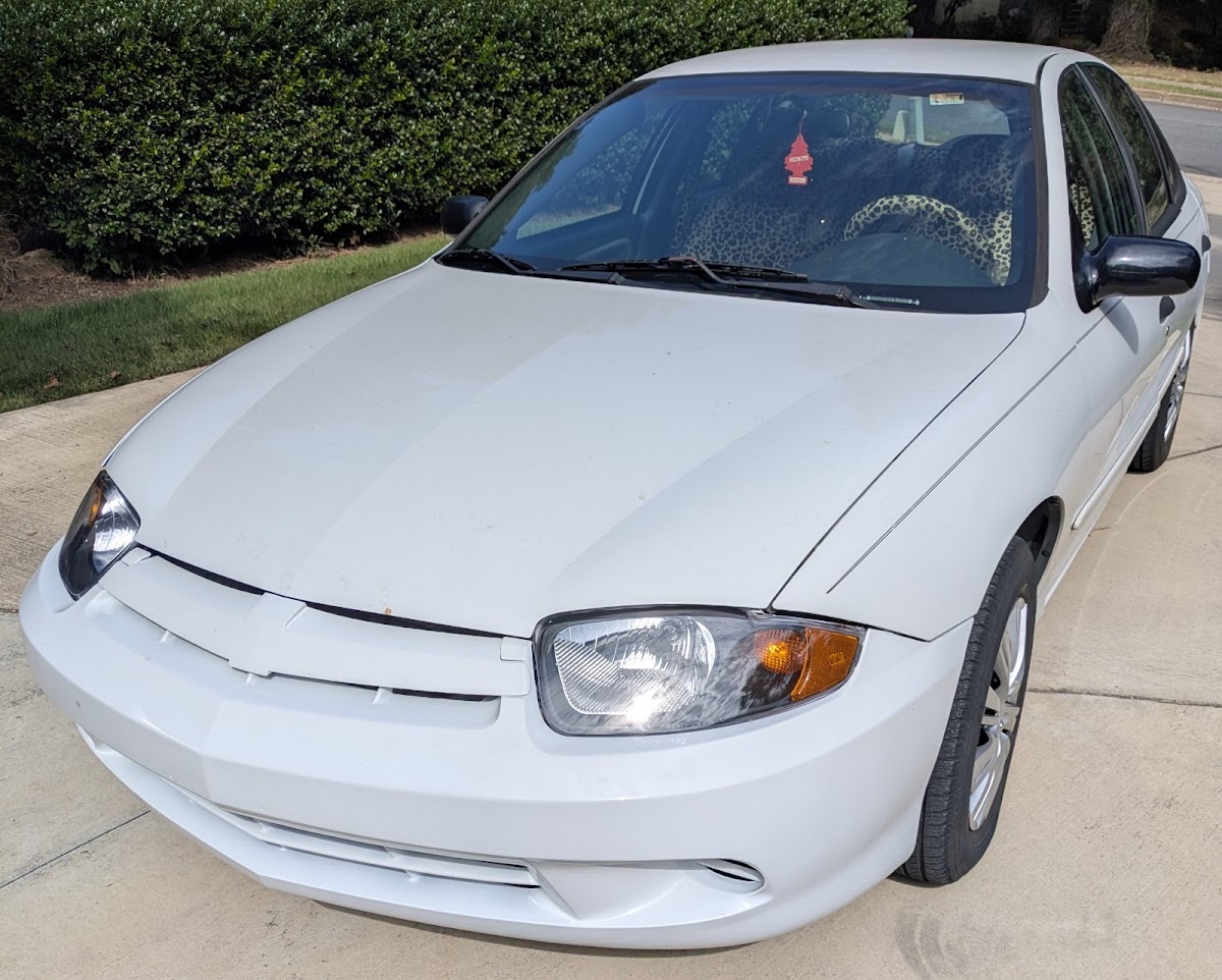 A white sedan with a freshly restored, glossy finish and clear headlights after body work at Ultimate Auto Body Shop